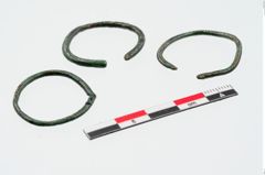 Foto von Bronzering (NHMW-PRAE-024320)